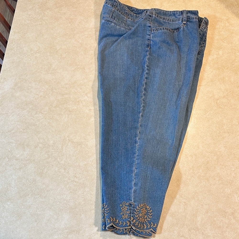 Embroidered Blue Jeans- Gloria Vanderbilt Size  12